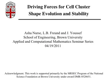 Driving Forces for Cell Cluster  Shape Evolution and Stability  Asha Nurse, L.B. Freund and J.