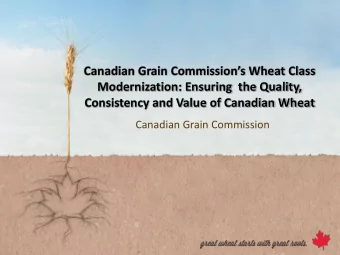 Modernization: Ensuring  the Quality,  Consistency and Value of Canadian Wheat  Canadian Grain