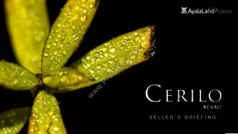 h  p  .  m  o  c  .  g  n  i  l  l  e  S  e  r  P  .  w  w  w  S E L L E R  S  B R I E F I N G