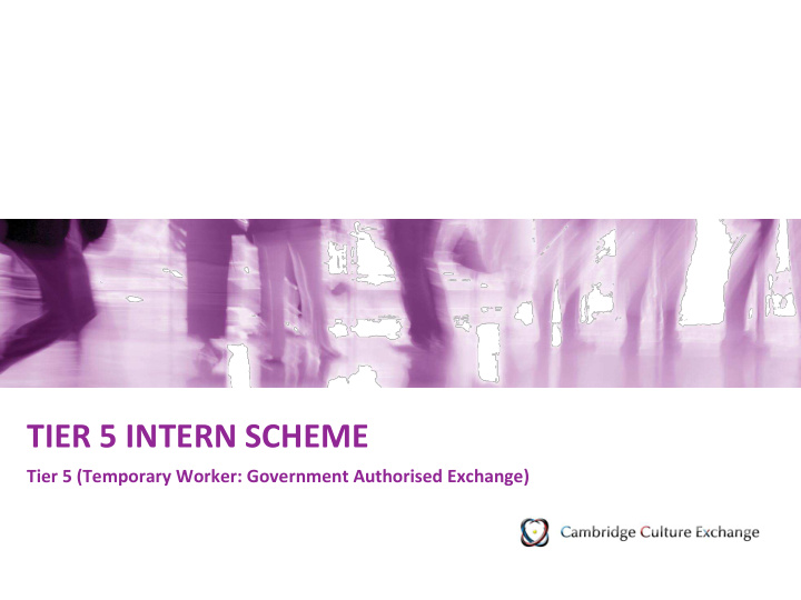 tier 5 intern scheme