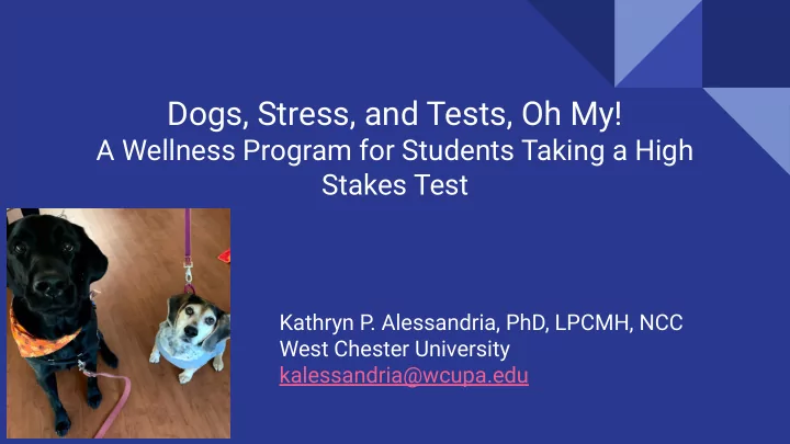 dogs stress and tests oh my