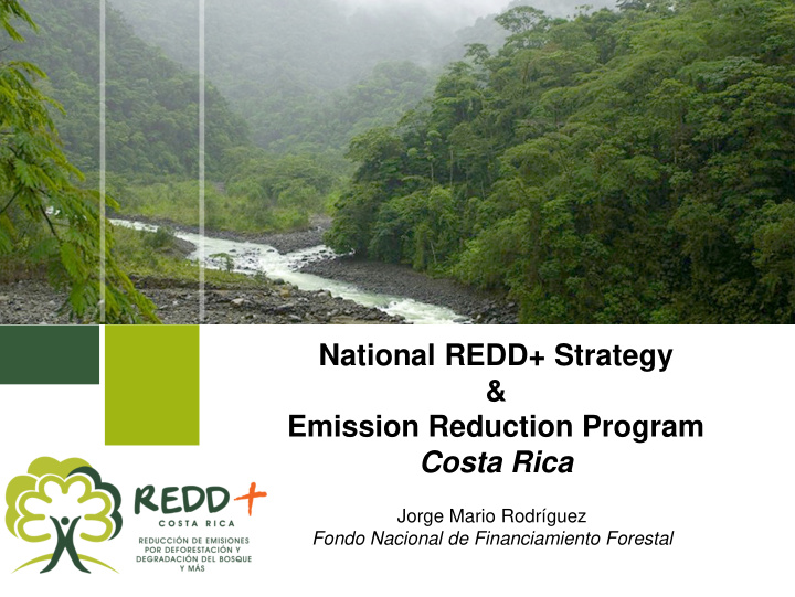 national redd strategy emission reduction program costa
