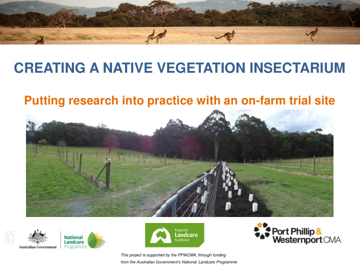 creating a native vegetation insectarium