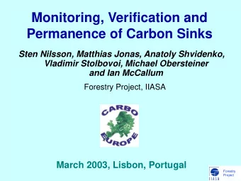 Permanence of Carbon Sinks  Sten Nilsson, Matthias Jonas, Anatoly Shvidenko,  Vladimir Stolbovoi,
