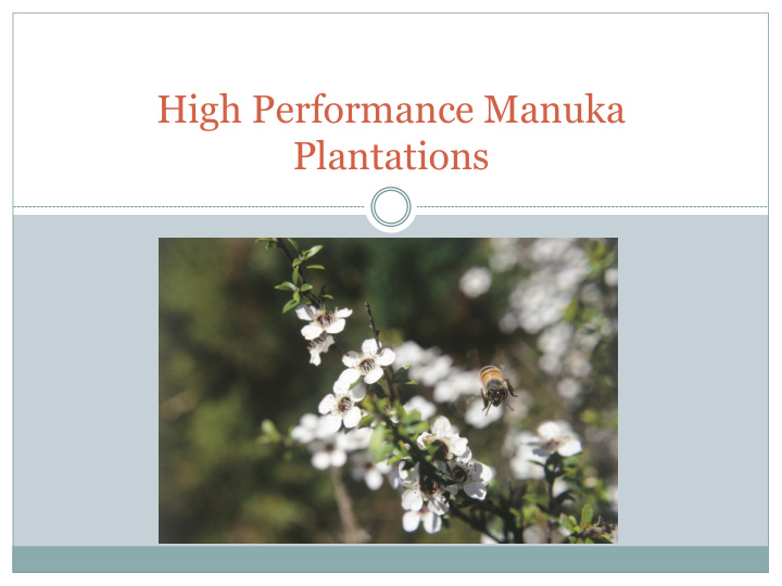 high performance manuka plantations manuka research