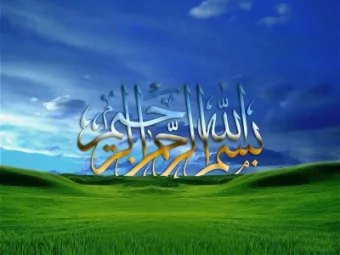 Role of PHA in urban plantation  CREATION OF PHA  21 st  September,  1998  under  Punjab