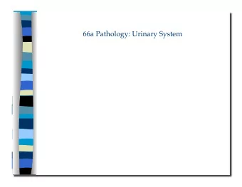 66a Pathology: Urinary System  66a Pathology: Urinary System  Class Outline  5 minutes