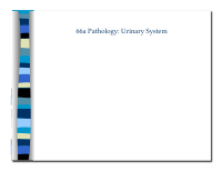 66a pathology urinary system 66a pathology urinary system