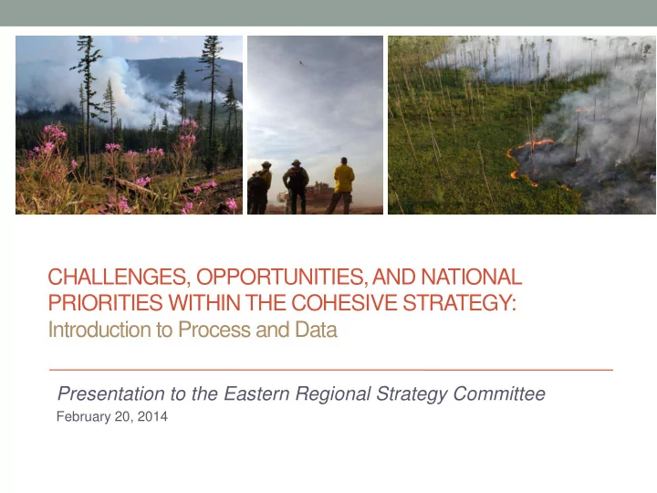 priorities within the cohesive strategy