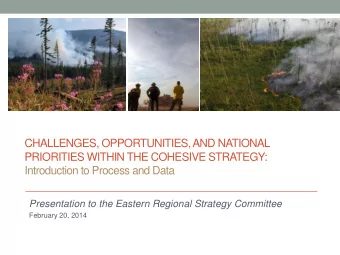 PRIORITIES WITHIN THE COHESIVE STRATEGY:  Introduction to Process and Data  Presentation to the