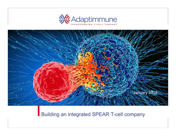 building an integrated spear t cell company