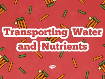 Learning Intention:  To explain how water and nutrients are transported within the body.