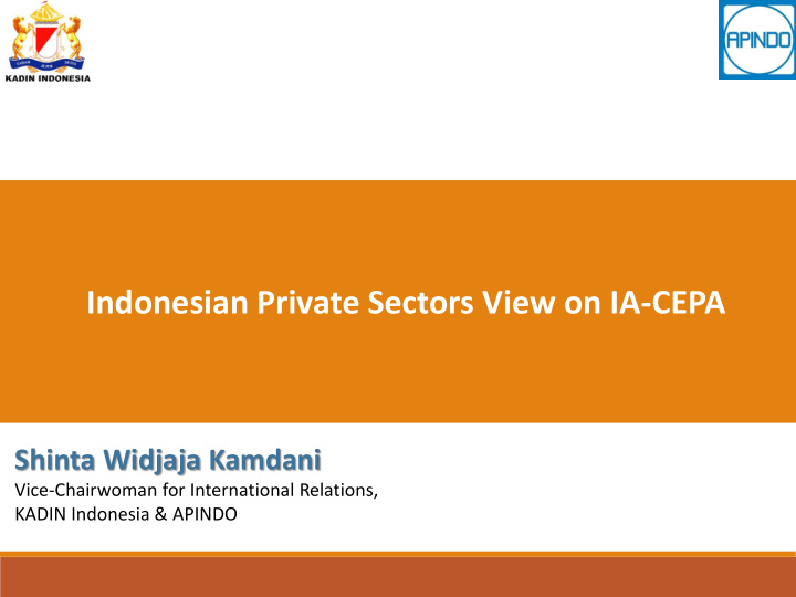 indonesian private sectors view on ia cepa