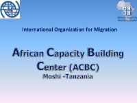 international organization for migration african capacity