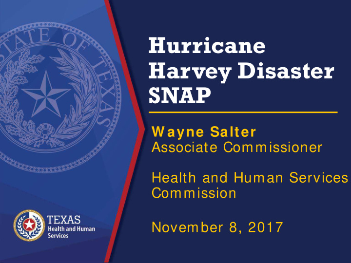 hurricane harvey disaster snap