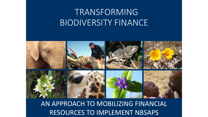 biodiversity finance