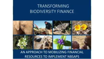 BIODIVERSITY FINANCE  AN APPROACH TO MOBILIZING FINANCIAL  RESOURCES TO IMPLEMENT NBSAPS  The