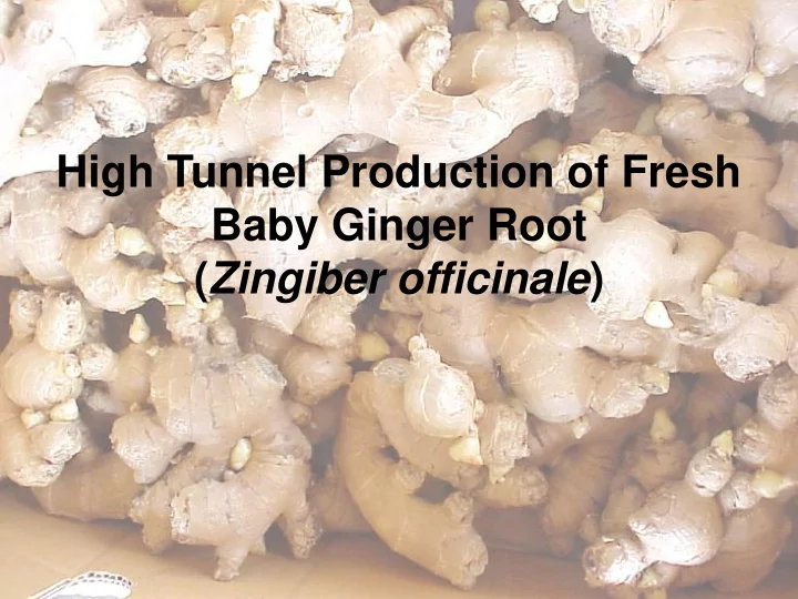 zingiber officinale volume and value of total and china s