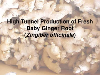 ( Zingiber officinale )  Volume and value of total and China's imported fresh  ginger to the U.S.,