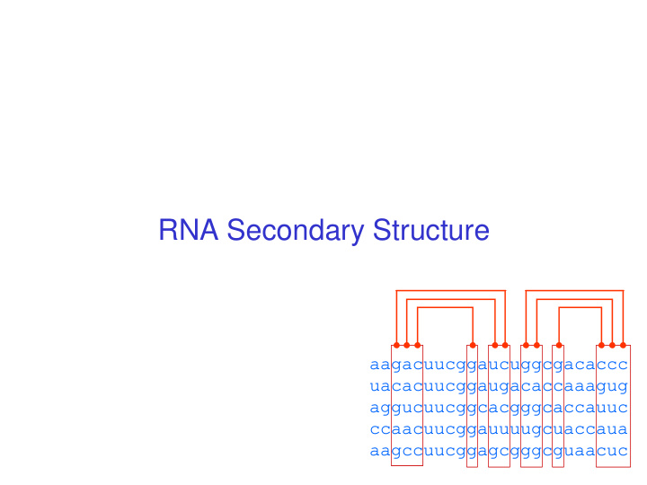 rna secondary structure