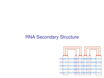 RNA Secondary Structure  aagacuucggaucuggcgacaccc  uacacuucggaugacaccaaagug