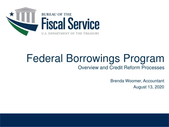 federal borrowings program