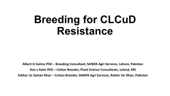 Breeding for CLCuD  Resistance Albert G Santos PhD  Breeding Consultant, SANIFA Agri Services,