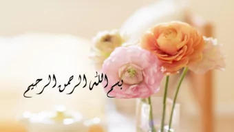 By  Professor of Anaesthesia and Surgical Intensive Care  Faculty of Medicine  Alexandria