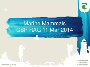 Marine Mammals  CSP RAG 11 Mar 2014  1  New Zealand sea lion   Pup count Auckland Islands 2014