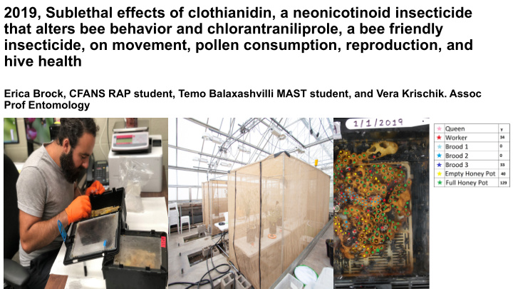 2019 sublethal effects of clothianidin a neonicotinoid