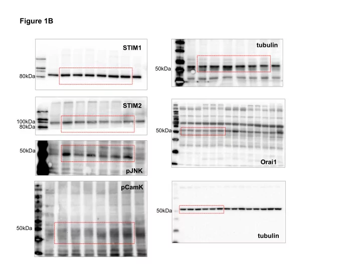 figure 1b