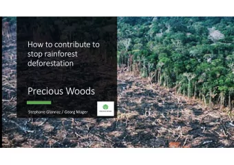 Precious Woods  Stephane Glannaz / Georg Mager  Without counting the  invisible part, today still