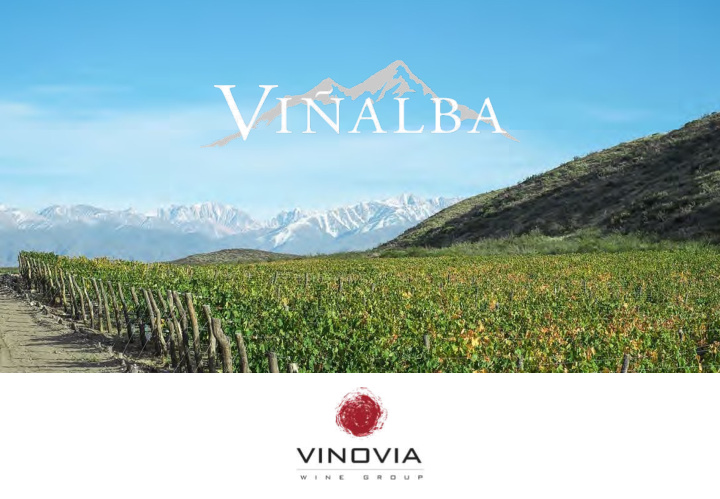 our story vi alba is an exciting range of wines which