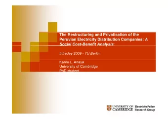 The Restructuring and Privatisation of the Peruvian Electricity Distribution Companies: A Social