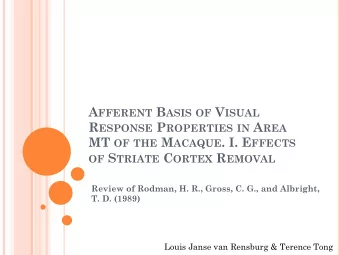A FFERENT B ASIS OF V ISUAL R ESPONSE P ROPERTIES IN A REA MT OF THE M ACAQUE . I. E FFECTS OF S