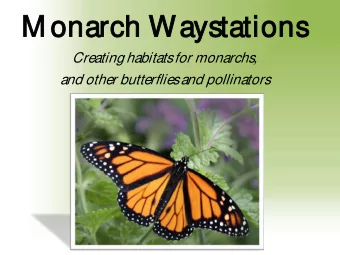 M onarch Waystations  Creating habitats for monarchs,  and other butterflies and pollinators