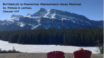 Butterflies in Formation: Performance Under Pressure  Banff,  Dr. Stephen R. Leppard,  Alberta