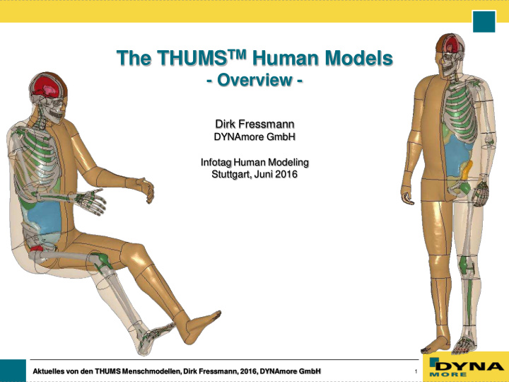 the thums tm human models