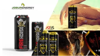 1  INTR  NTRODUCTI  CTION TO  O JO  JOBURG EN  ENERGY  Y AND  AND  ARE  ARES GIDA SAN.  AN.TI