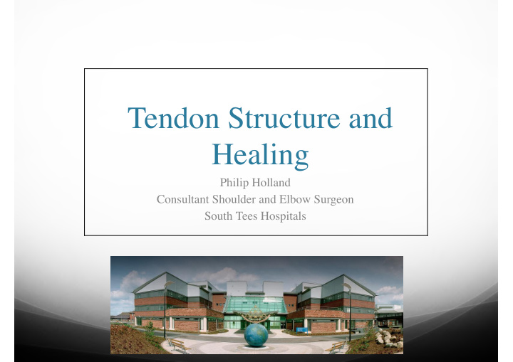 tendon structure and healing