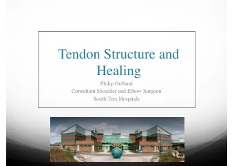 Tendon Structure and  Healing  Philip Holland  Consultant Shoulder and Elbow Surgeon  South Tees