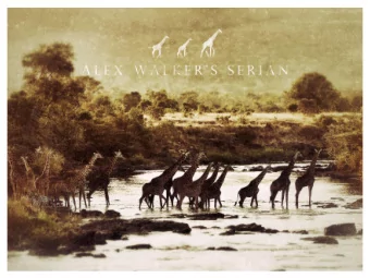 We Are Serian  We are a charismatic collection of exclusive and intimate  safari camps in the prime