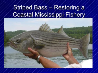 Striped Bass  Restoring a  Striped Bass  Restoring a  Coastal Mississippi Fishery  Coastal