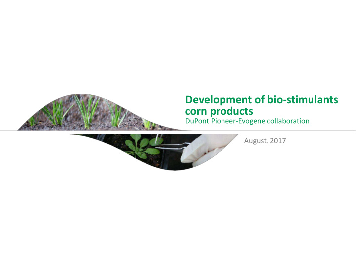 development of bio stimulants corn products