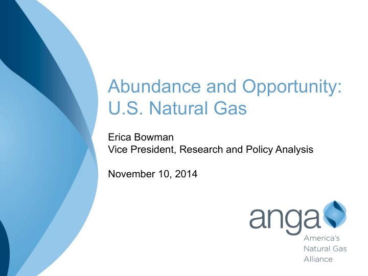 abundance and opportunity u s natural gas
