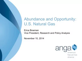 Abundance and Opportunity:  U.S. Natural Gas  Erica Bowman  Vice President, Research and Policy