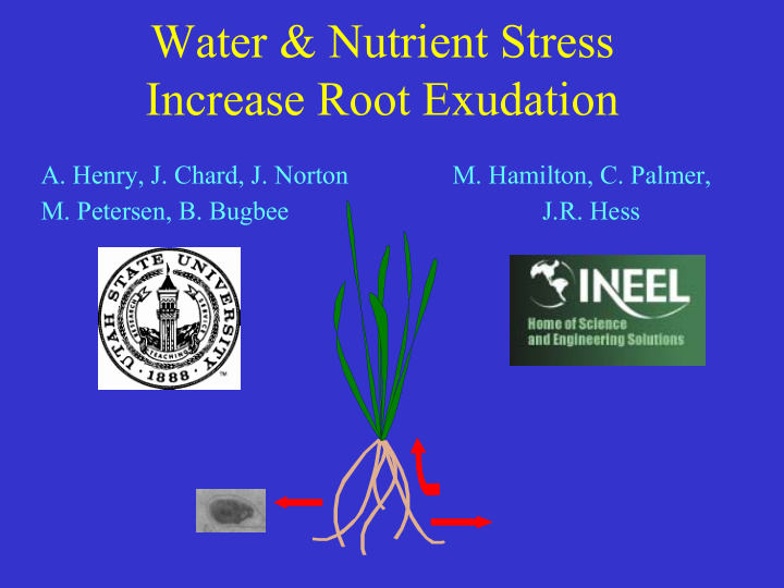 water nutrient stress increase root exudation