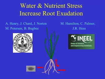 Water &amp; Nutrient Stress  Increase Root Exudation  A. Henry, J. Chard, J. Norton  M. Hamilton,