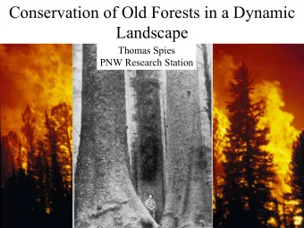Conservation of Old Forests in a Dynamic  Landscape  Thomas Spies  PNW Research Station  Objectives