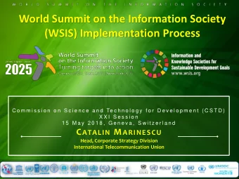 World Summit on the Information Society  (WSIS) Implementation Process  C o m m i s s i o n  o n  S